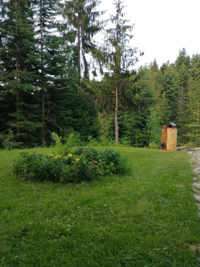 P-Zlatar, Apartman 3 Brdo Exteriör bild